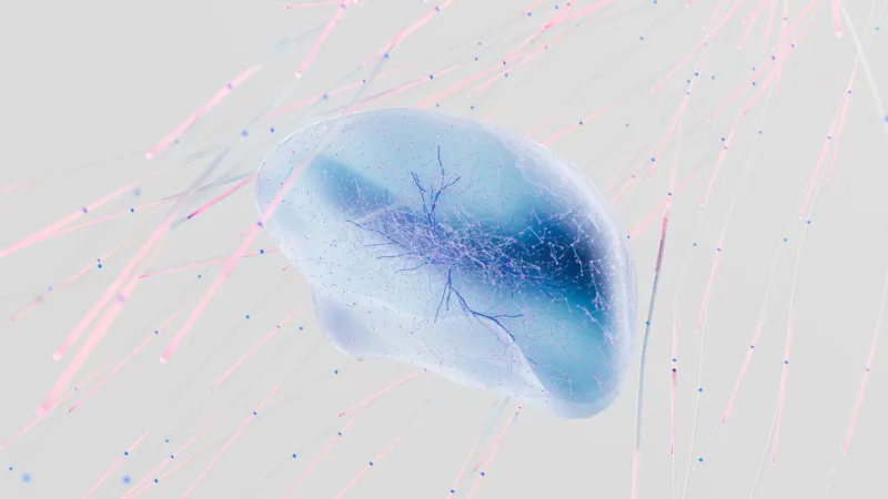 Welcome to Cerebrella: Your Science-Backed Gateway to a Sharper, Healthier Brain